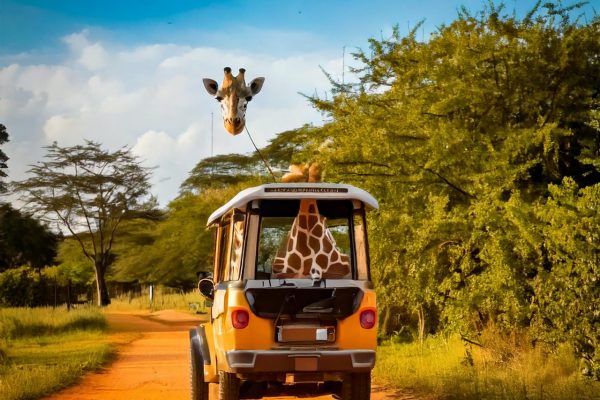tuktuk-tours